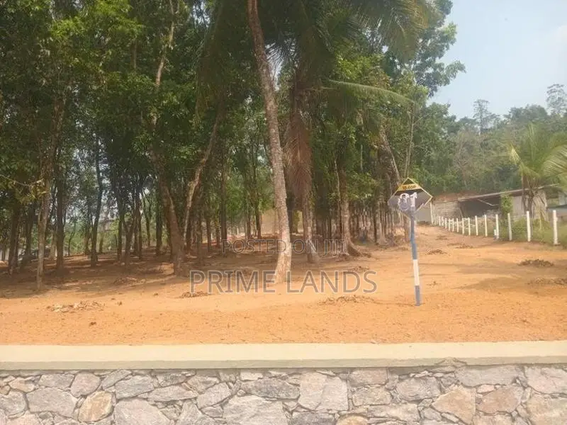මහෝගනී ගස් සමගින් වටිනා ඉඩමක් කහතුඩුවෙන්