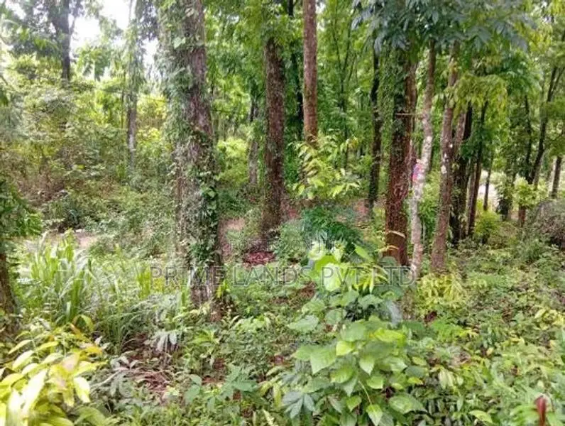 Land for Sale Nelumdeniya