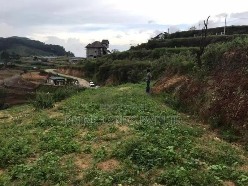 Land for Sale Ambewela