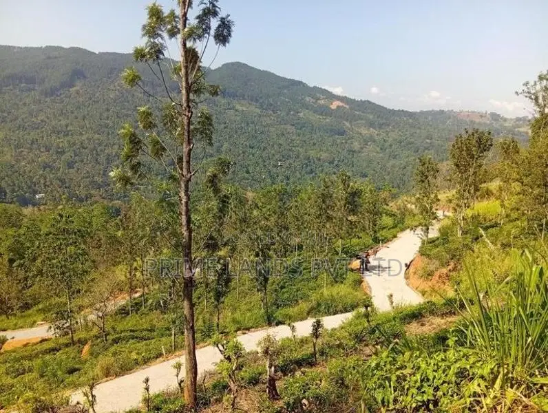 Land Sale in Nilamba