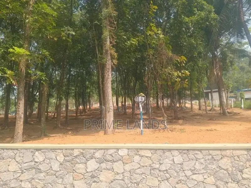 මහෝගනී ගස් සමගින් වටිනා ඉඩමක් කහතුඩුවෙන්
