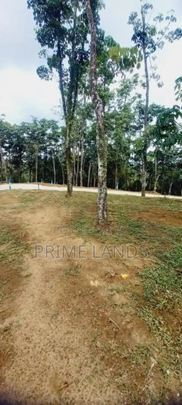 හොරන බැල්ලපිටිය හන්දියේන් ඉඩම්