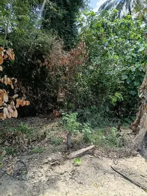 Land for Sale in Hiriketiya