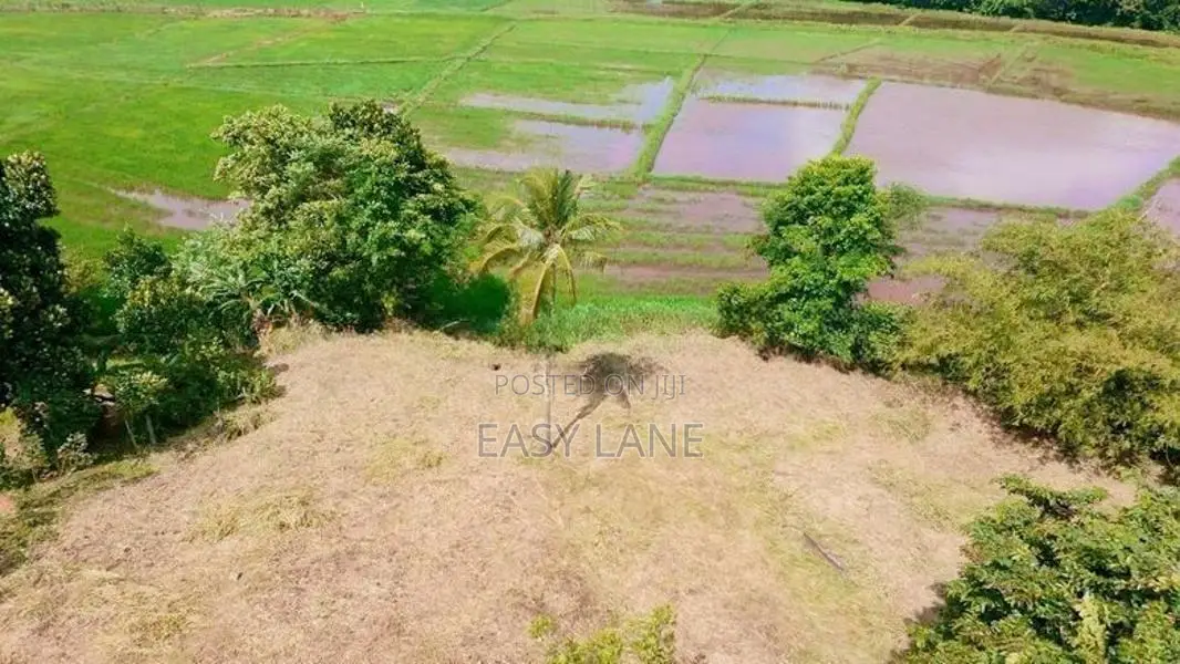 පල්ලෙවෙල සුන්දර වෙල්යායකට මායිම් බිම් කොටස් 2 ක් ප්‍රදේශයේ