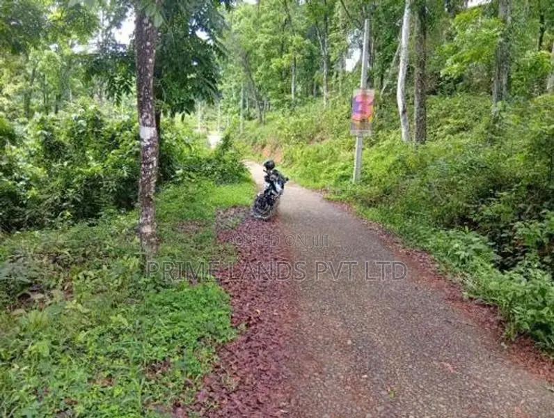 Land Sale in Nelumdeniya
