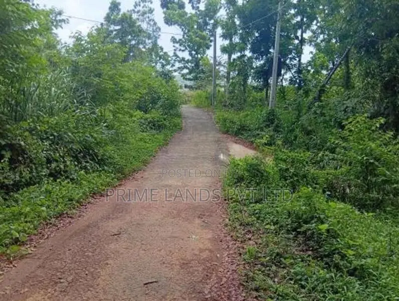 Land for Sale Nelumdeniya