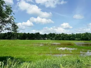 පල්ලෙවෙල සුන්දර වෙල්යායකට මායිම් බිම් කොටස් 2 ක් ප්‍රදේශයේ
