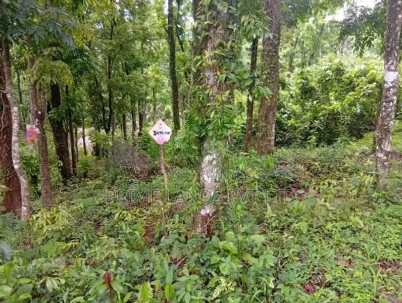 Land for Sale Nelumdeniya