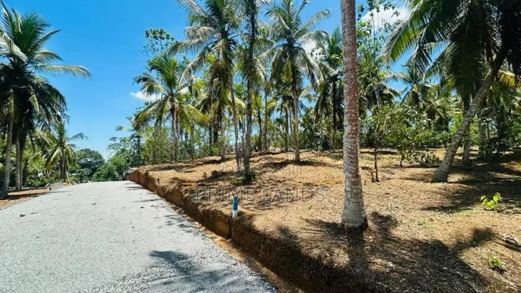 පිලියන්දල බස් පාරට ආසන්නයේන් ඉඩමක්