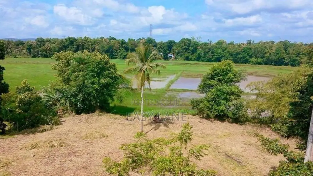 පල්ලෙවෙල සුන්දර වෙල්යායකට මායිම් බිම් කොටස් 2 ක් ප්‍රදේශයේ