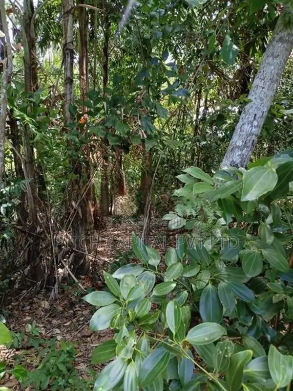 Land for Sale in Hiriketiya