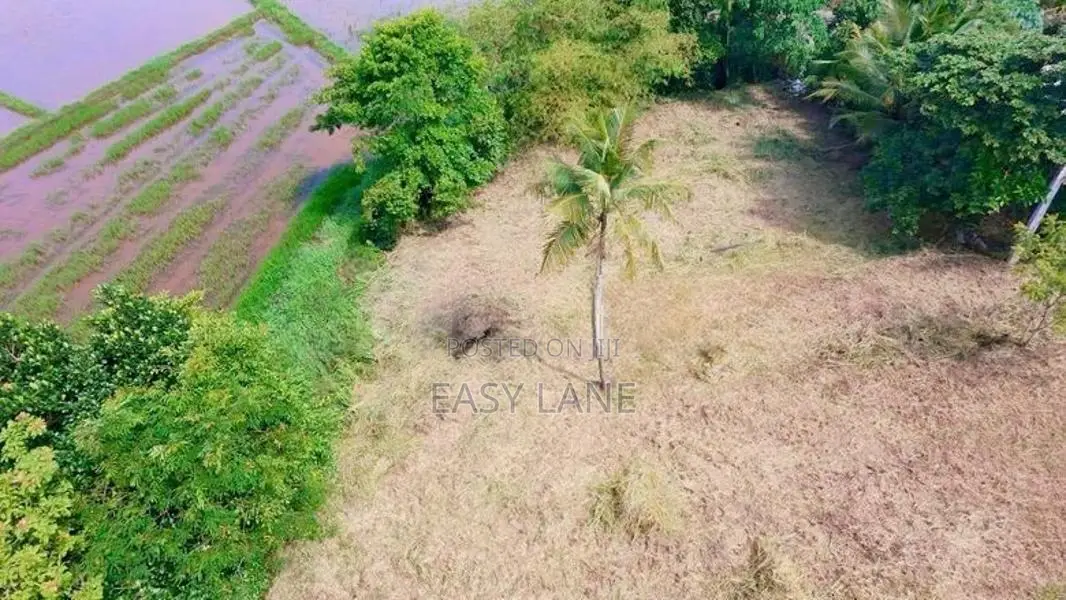 පල්ලෙවෙල සුන්දර වෙල්යායකට මායිම් බිම් කොටස් 2 ක් ප්‍රදේශයේ