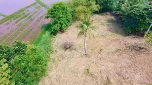 පල්ලෙවෙල සුන්දර වෙල්යායකට මායිම් බිම් කොටස් 2 ක් ප්‍රදේශයේ