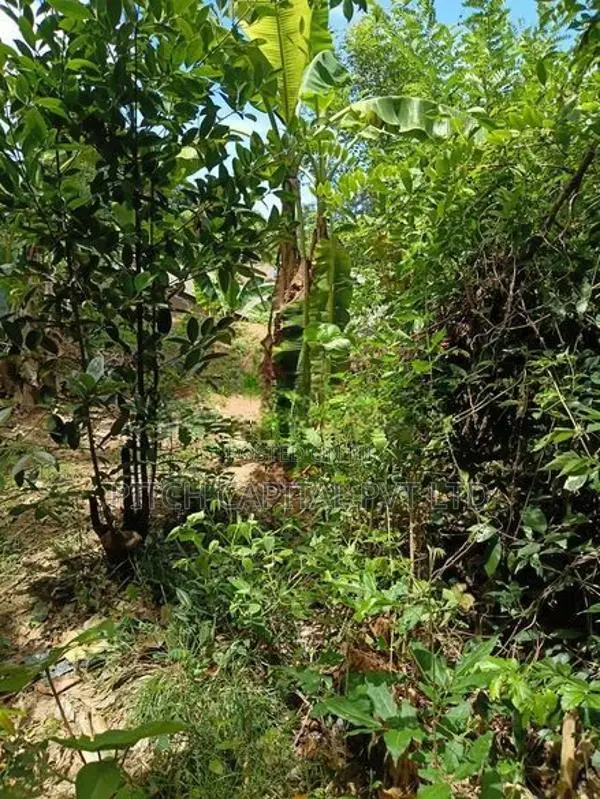 Land for Sale in Hiriketiya