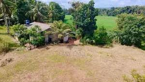 පල්ලෙවෙල සුන්දර වෙල්යායකට මායිම් බිම් කොටස් 2 ක් ප්‍රදේශයේ