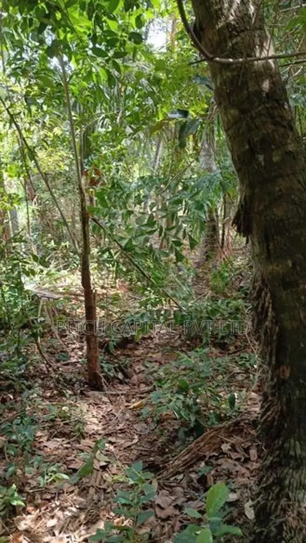 Land for Sale in Hiriketiya