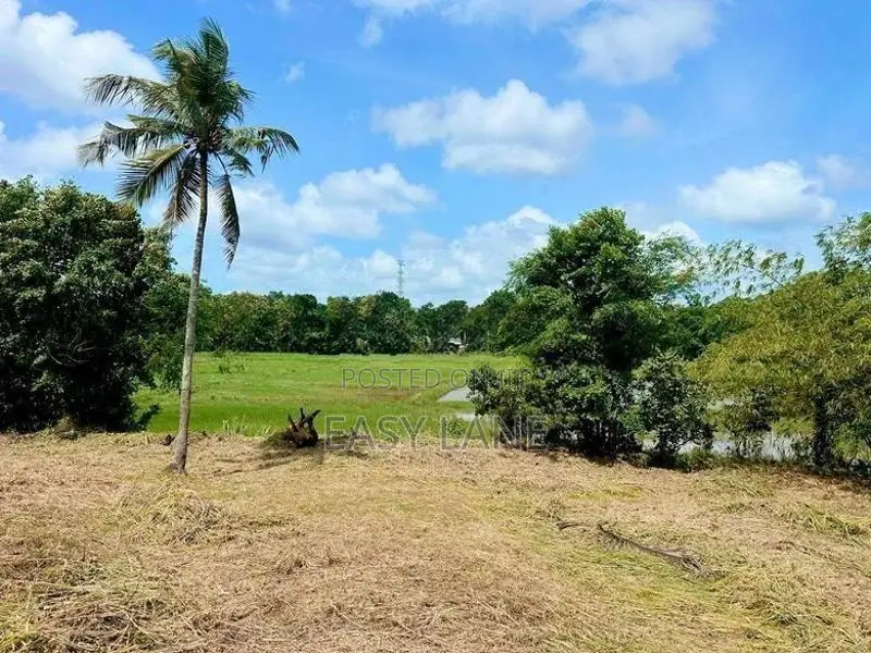 පල්ලෙවෙල සුන්දර වෙල්යායකට මායිම් බිම් කොටස් 2 ක් ප්‍රදේශයේ
