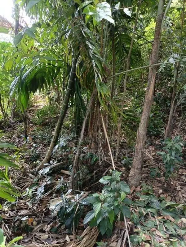 Land for Sale in Hiriketiya