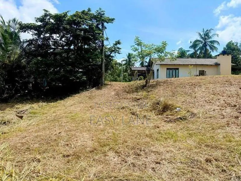 පල්ලෙවෙල සුන්දර වෙල්යායකට මායිම් බිම් කොටස් 2 ක් ප්‍රදේශයේ