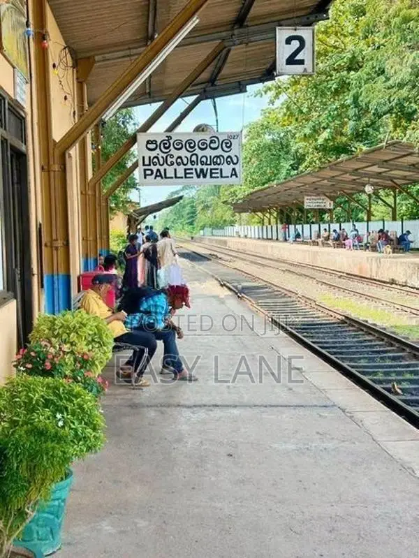 පල්ලෙවෙල සුන්දර වෙල්යායකට මායිම් බිම් කොටස් 2 ක් ප්‍රදේශයේ