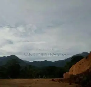 Bibile Land Sale