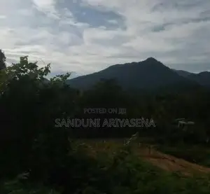 Bibile Land Sale