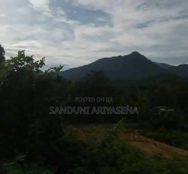 Bibile Land Sale
