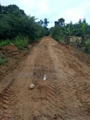 Bibile Land Sale