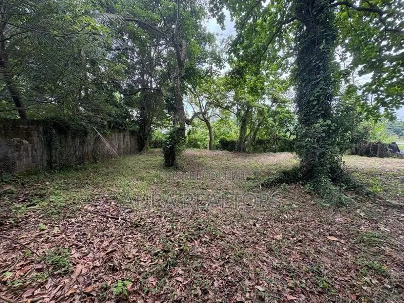 Waterfront Land for Sale in Rajagiriya (p-72)