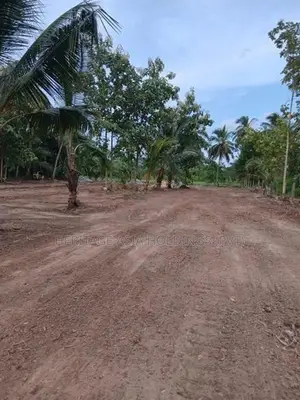 අනුරාධපුර පුජා නගරය පෙනෙන දුරින් ඉඩමක්