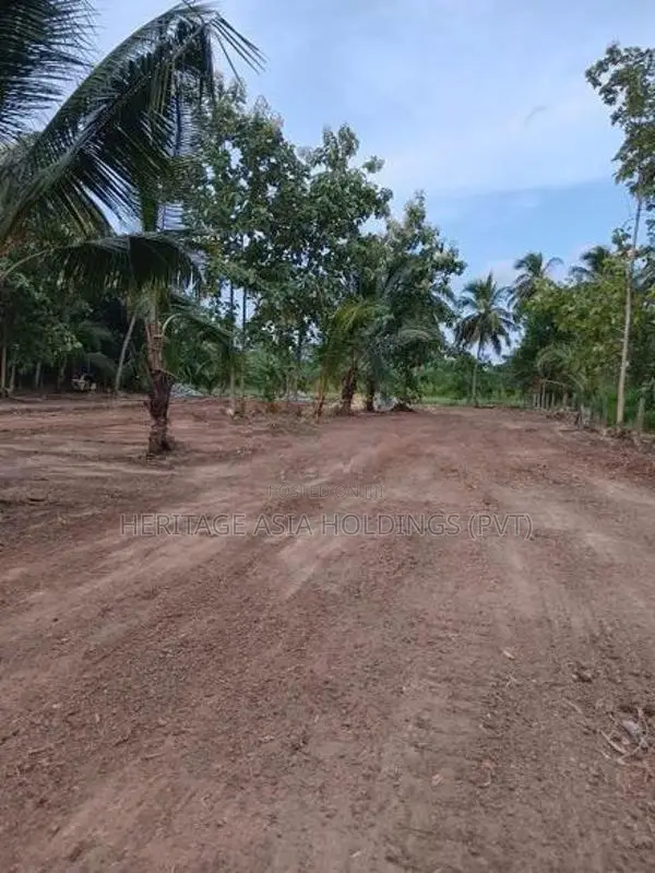 අනුරාධපුර පුජා නගරය පෙනෙන දුරින් ඉඩමක්