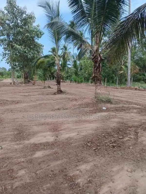අනුරාධපුර පුජා නගරය පෙනෙන දුරින් ඉඩමක්