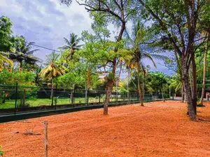 Midigama (Ahangama) Tourism Land For Sale (70M to Beach)