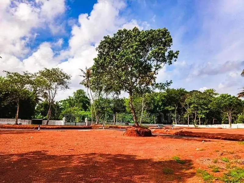 Dondra Beach Front Land For Sale
