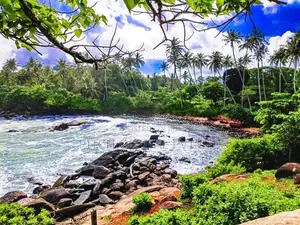 Dondra Beach Front Land For Sale