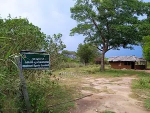 5 acres land nearest Thanamalwila udawalawa main road