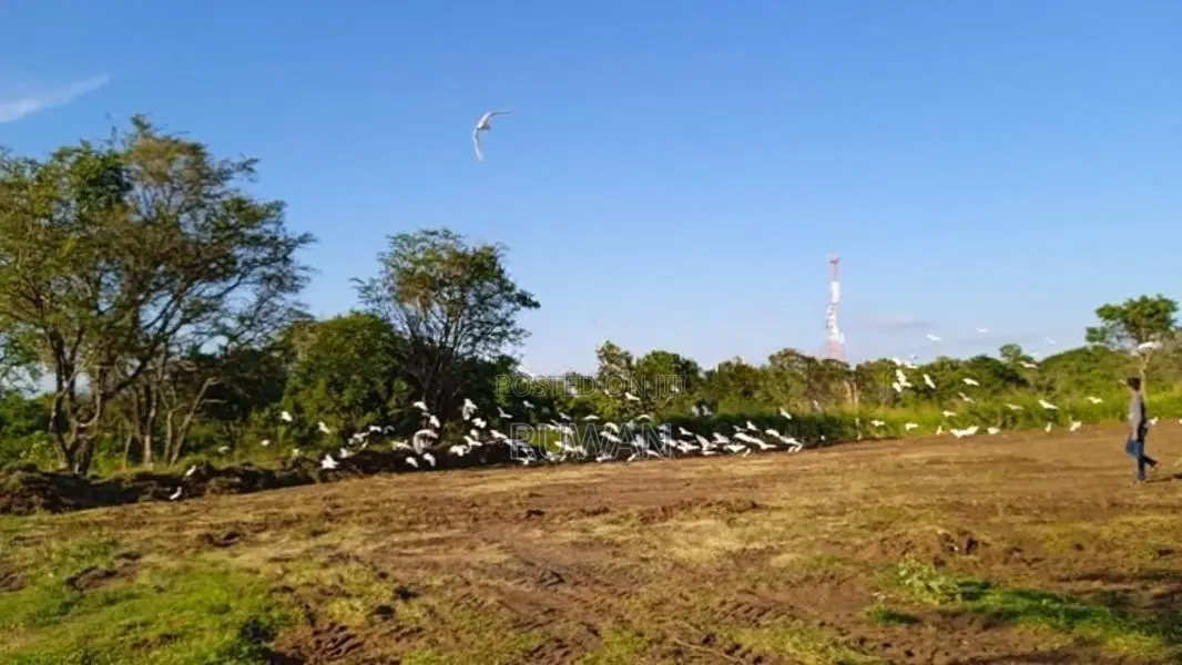 5 acres land nearest Thanamalwila udawalawa main road