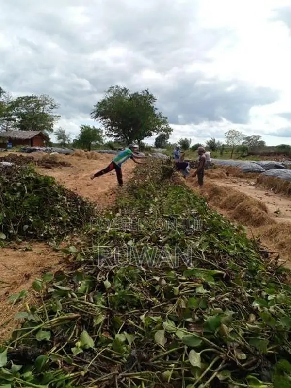 5 acres land nearest Thanamalwila udawalawa main road