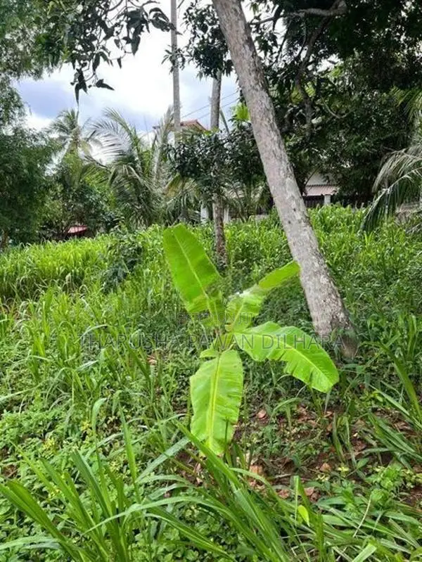 ඉඩමක් විකිණීමට හුන්නදෙණිය