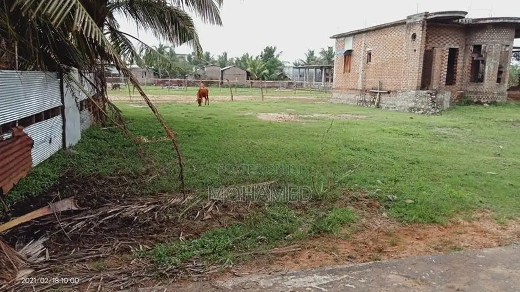 14 Perches Land - Addalaichenai