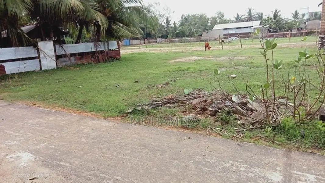 14 Perches Land - Addalaichenai