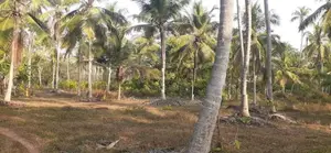 කුරුණෑගල නුවර පාරෙන් ඉඩමක්