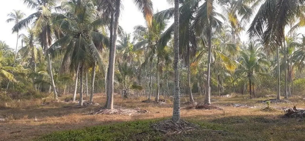 කුරුණෑගල නුවර පාරෙන් ඉඩමක්