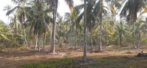කුරුණෑගල නුවර පාරෙන් ඉඩමක්