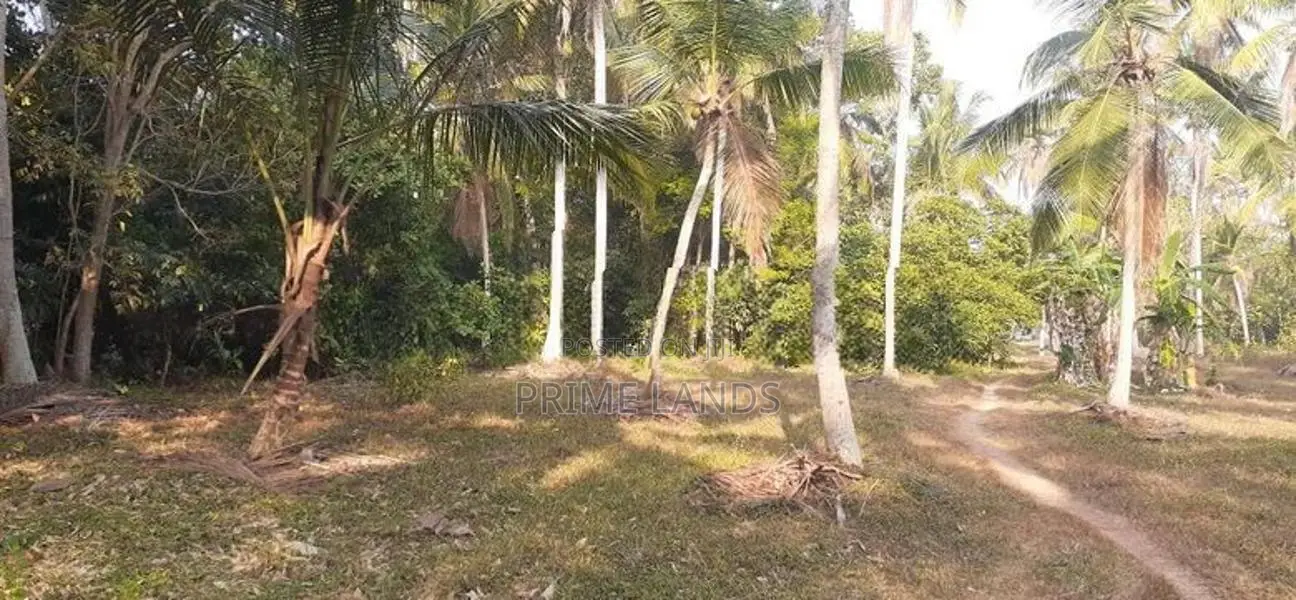කුරුණෑගල නුවර පාරෙන් ඉඩමක්