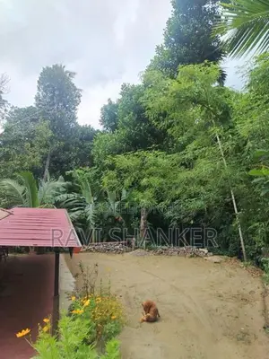 Land for sale in Gunnepana
