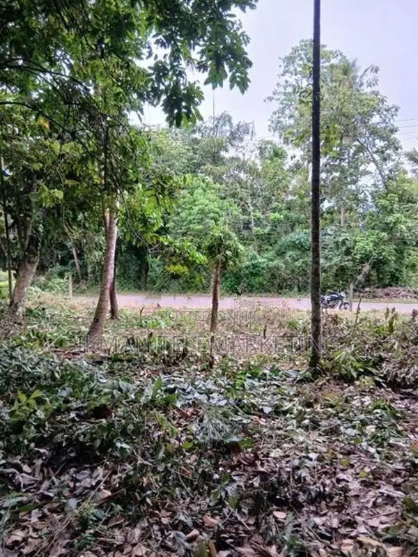 Land for Sale in Thalalla, Matara