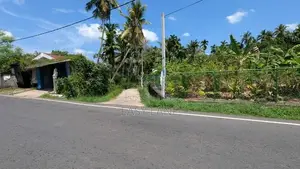 මීරිගම Town එකට පයින් යන දුරින් ඉඩමක් / SA 12038