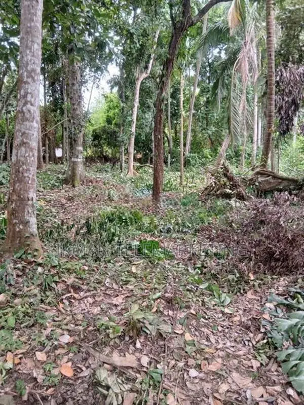 Land for Sale in Thalalla, Matara