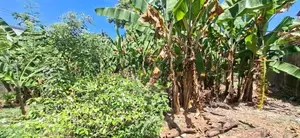 Land for sale Boralasgamuwa Abillawaththa
